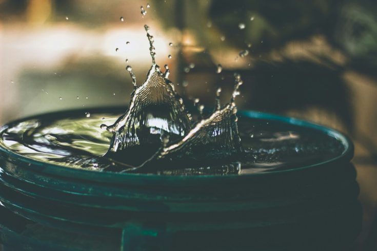 amritanshu-sikdar-LoGnr-w1D8E-unsplash amritanshu-sikdar-LoGnr-w1D8E-unsplash